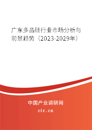 廣東多晶硅行業(yè)市場分析與前景趨勢(shì)（2023-2029年）