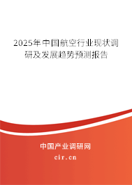 2025年中國航空行業(yè)現狀調研及發(fā)展趨勢預測報告
