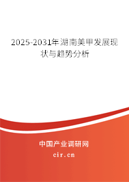2025-2031年湖南美甲發展現狀與趨勢分析