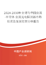 2024-2030年全球與中國金屬-半導體-金屬光電探測器市場現狀及發展前景分析報告