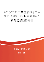 2025-2031年中國聚鄰苯二甲酰胺（PPA）行業發展現狀分析與前景趨勢報告