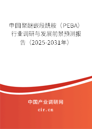 中國聚醚嵌段酰胺（PEBA）行業(yè)調(diào)研與發(fā)展前景預測報告（2025-2031年）