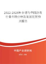 2022-2028年全球與中國瀝青行業市場分析及發展前景預測報告