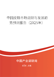 中國皮鞋市場調研與發展趨勢預測報告（2025年）