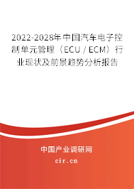 2022-2028年中國汽車電子控制單元管理（ECU / ECM）行業現狀及前景趨勢分析報告