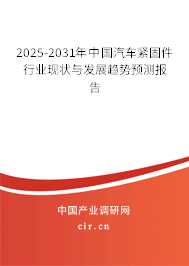 2025-2031年中國汽車緊固件行業(yè)現(xiàn)狀與發(fā)展趨勢預(yù)測報告