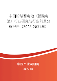 中國鉛酸蓄電池（鉛酸電池）行業研究與行業前景分析報告（2025-2031年）