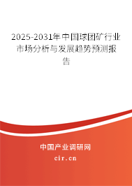 2025-2031年中國球團礦行業市場分析與發展趨勢預測報告