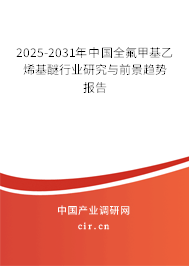 2025-2031年中國全氟甲基乙烯基醚行業研究與前景趨勢報告