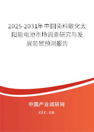 2025-2031年中國染料敏化太陽能電池市場調查研究與發展前景預測報告