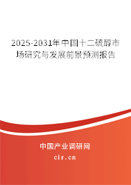 2025-2031年中國十二硫醇市場研究與發展前景預測報告