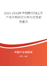 2025-2031年中國數(shù)控加工生產線市場研究分析與前景趨勢報告
