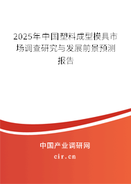 2025年中國塑料成型模具市場調查研究與發展前景預測報告