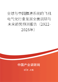 全球與中國推進系統的飛機電氣化行業發展全面調研與未來趨勢預測報告（2022-2028年）