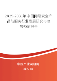 2025-2031年中國網絡安全產品與服務行業發展研究與趨勢預測報告