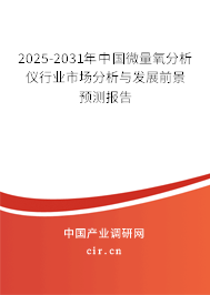 2025-2031年中國微量氧分析儀行業市場分析與發展前景預測報告