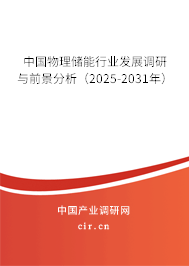 中國物理儲能行業(yè)發(fā)展調(diào)研與前景分析（2025-2031年）