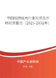 中國煙酰胺片行業(yè)現(xiàn)狀及市場前景報告（2025-2031年）