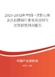 2025-2031年中國一次性心臟永久起搏器行業(yè)發(fā)展調(diào)研與前景趨勢預測報告