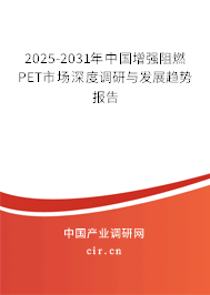 2025-2031年中國增強阻燃PET市場深度調研與發展趨勢報告