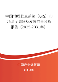 中國地理信息系統（GIS）市場深度調研及發展前景分析報告（2025-2031年）