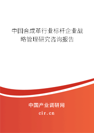 中國合成革行業標桿企業戰略管理研究咨詢報告