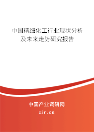 中國精細化工行業現狀分析及未來走勢研究報告