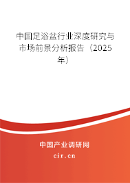 中國足浴盆行業深度研究與市場前景分析報告（2024年）