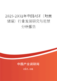 2025-2031年中國AST（地面儲罐）行業發展研究與前景分析報告