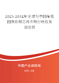 2025-2031年全球與中國車載圖像處理芯片市場分析及發展前景