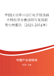 中國大功率HID燈電子鎮(zhèn)流器市場現(xiàn)狀全面調(diào)研與發(fā)展趨勢分析報告（2025-2031年）