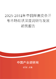 2025-2031年中國單面變條汗布市場現狀深度調研與發展趨勢報告