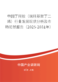 中國丁羥膠（端羥基聚丁二烯）行業發展現狀分析及市場前景報告（2025-2031年）