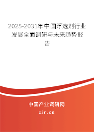 2025-2031年中國(guó)浮選劑行業(yè)發(fā)展全面調(diào)研與未來(lái)趨勢(shì)報(bào)告