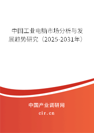 中國工業電腦市場分析與發展趨勢研究（2025-2031年）