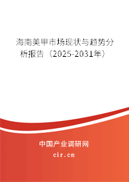 海南美甲市場現狀與趨勢分析報告（2025-2031年）
