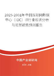 2025-2031年中國互聯網數據中心（IDC）IT行業現狀分析與前景趨勢預測報告