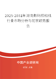 2025-2031年湖南數碼照相機行業市場分析與前景趨勢報告