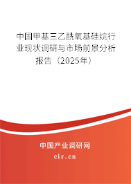 中國(guó)甲基三乙酰氧基硅烷行業(yè)現(xiàn)狀調(diào)研與市場(chǎng)前景分析報(bào)告（2025年）
