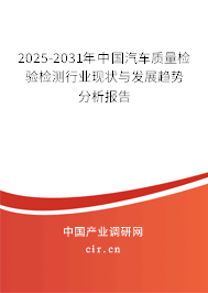 2025-2031年中國汽車質量檢驗檢測行業現狀與發展趨勢分析報告