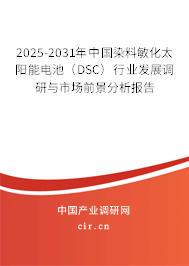 2025-2031年中國染料敏化太陽能電池（DSC）行業發展調研與市場前景分析報告