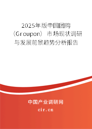 2025年版中國團購（Groupon）市場現狀調研與發展前景趨勢分析報告
