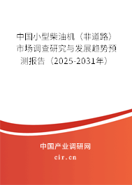 中國小型柴油機（非道路）市場調查研究與發展趨勢預測報告（2025-2031年）