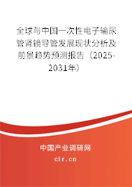 全球與中國一次性電子輸尿管腎鏡導管發展現狀分析及前景趨勢預測報告（2025-2031年）