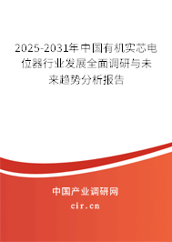 2025-2031年中國有機實芯電位器行業發展全面調研與未來趨勢分析報告