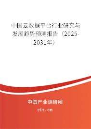 中國(guó)云數(shù)據(jù)平臺(tái)行業(yè)研究與發(fā)展趨勢(shì)預(yù)測(cè)報(bào)告（2025-2031年）