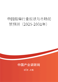 中國載帶行業(yè)現(xiàn)狀與市場前景預(yù)測（2025-2031年）