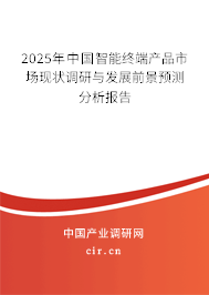 2025年中國智能終端產品市場現狀調研與發展前景預測分析報告