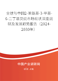 全球與中國2-苯氨基-3-甲基-6-二丁基熒烷市場現狀深度調研及發展趨勢報告（2024-2030年）