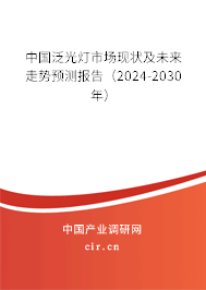 中國(guó)泛光燈市場(chǎng)現(xiàn)狀及未來走勢(shì)預(yù)測(cè)報(bào)告（2024-2030年）